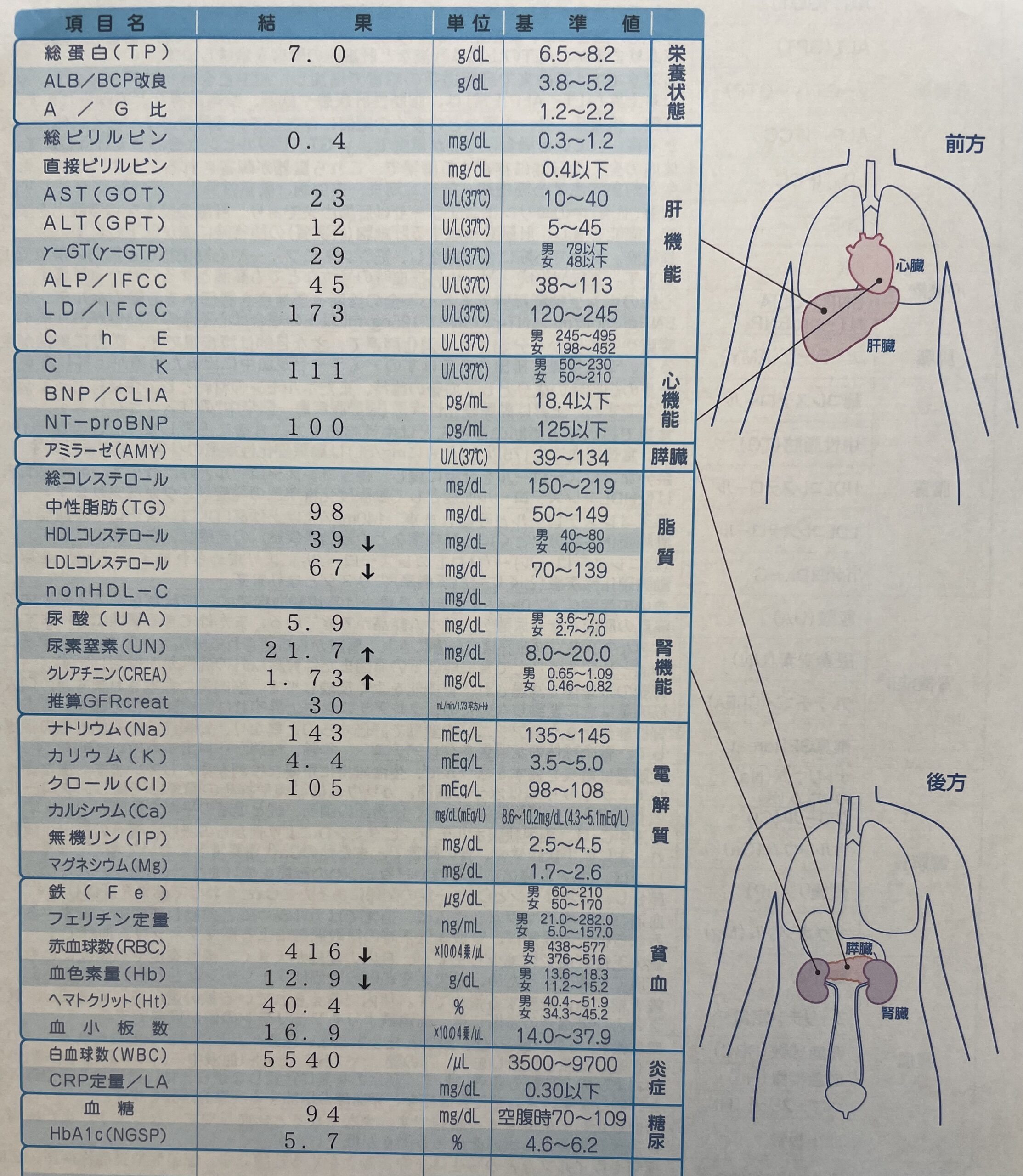 血液検査の結果